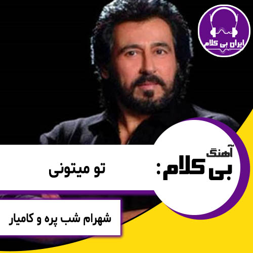 آهنگ بی کلام تو میتونی از شهرام شب پره و کامیار