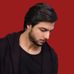 مهراد هیدن