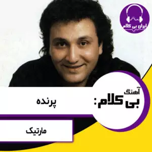 آهنگ بی کلام پرنده از مارتیک