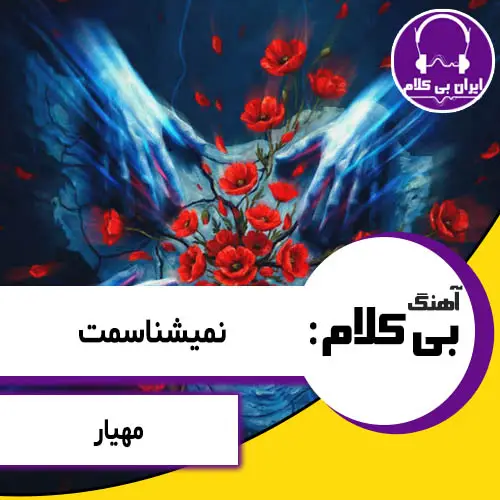 آهنگ بی کلام نمیشناسمت از مهیار